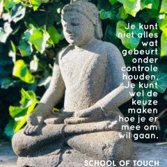 Welk gevoel kan jou vandaag ondersteunen?